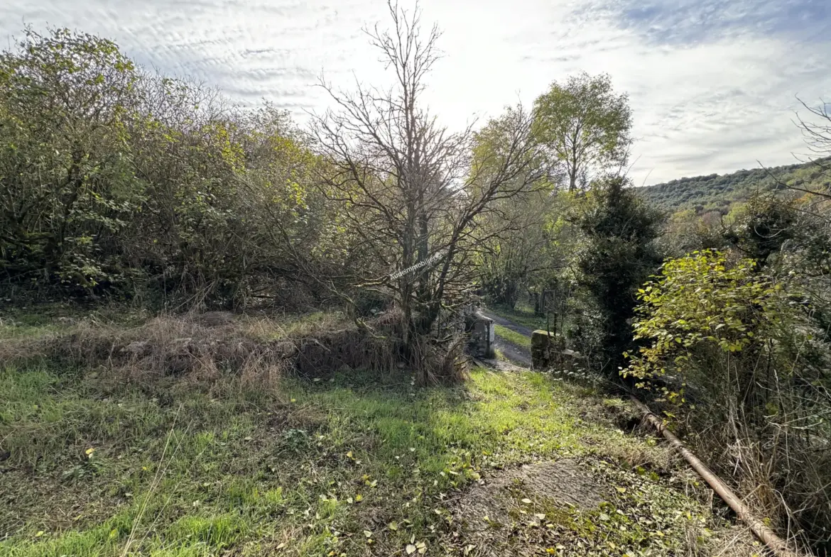 Vente d'une ancienne bergerie avec jardin à Villardebelle 