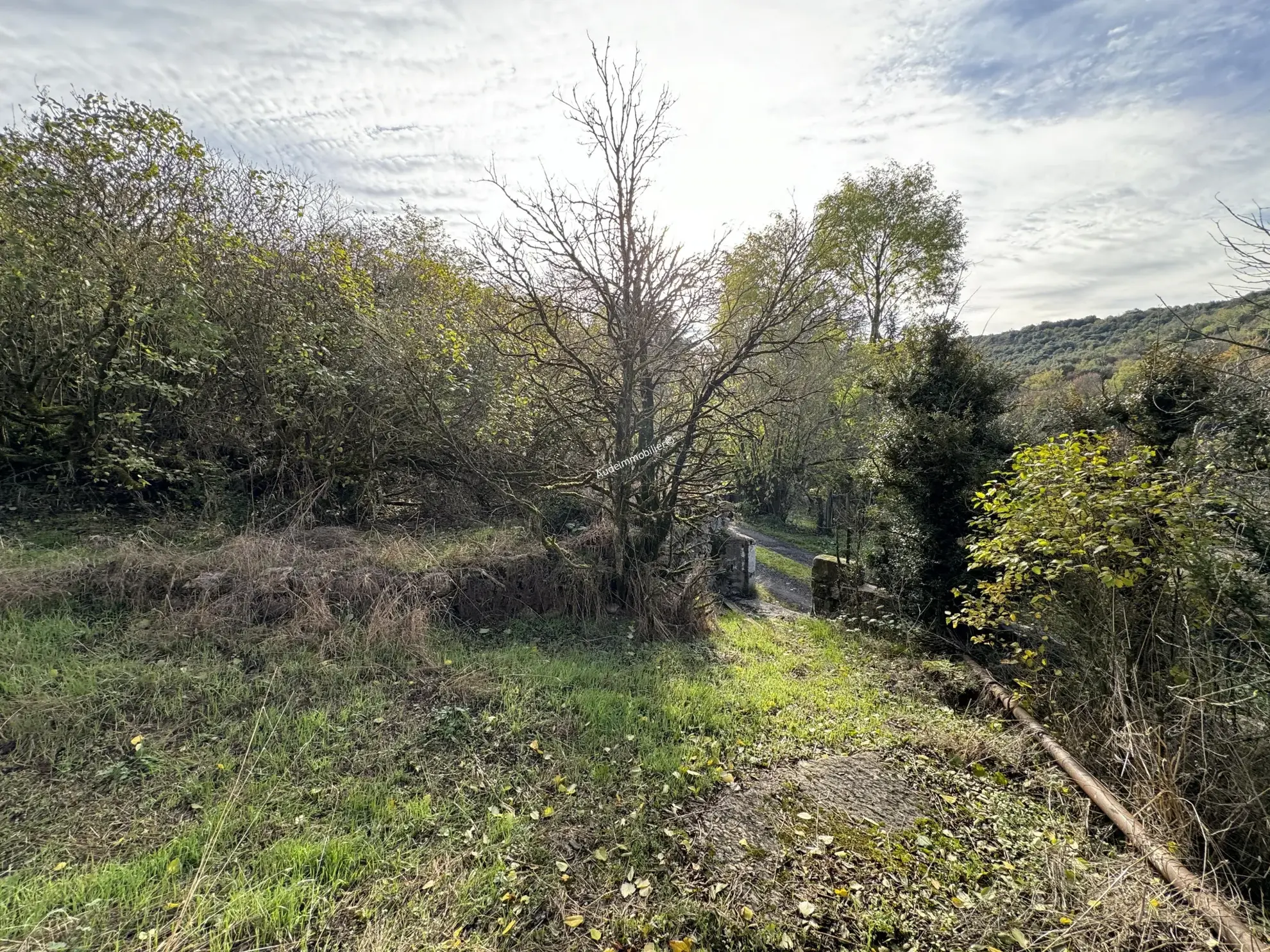 Vente d'une ancienne bergerie avec jardin à Villardebelle 