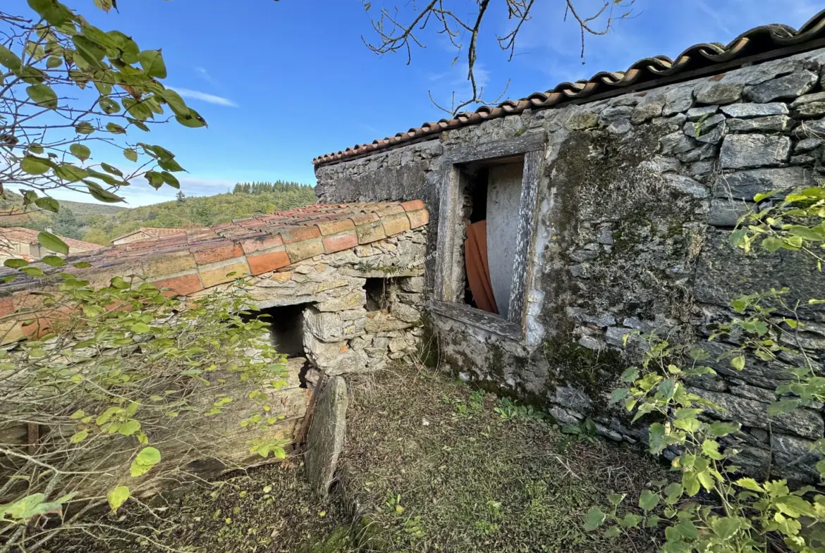 Vente d'une ancienne bergerie avec jardin à Villardebelle 