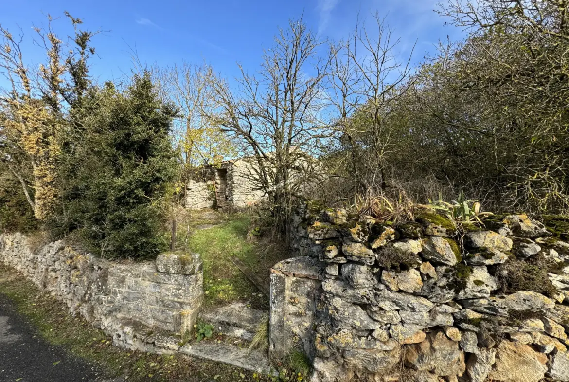 Vente d'une ancienne bergerie avec jardin à Villardebelle 