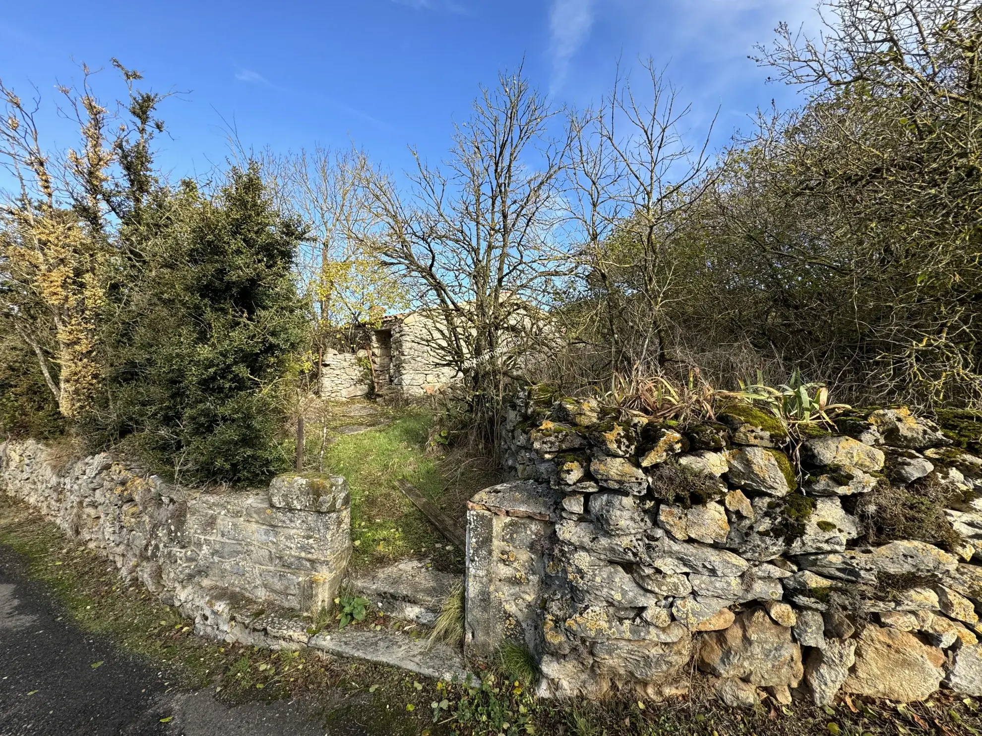 Vente d'une ancienne bergerie avec jardin à Villardebelle 