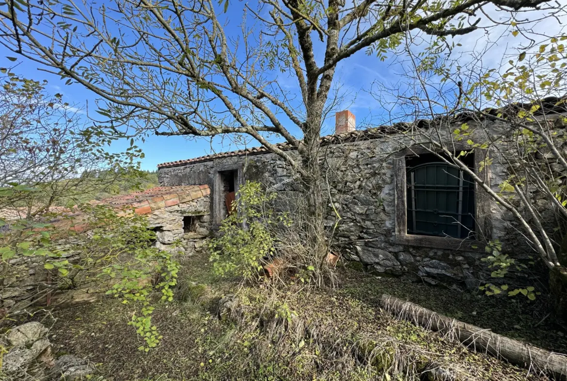 Vente d'une ancienne bergerie avec jardin à Villardebelle 