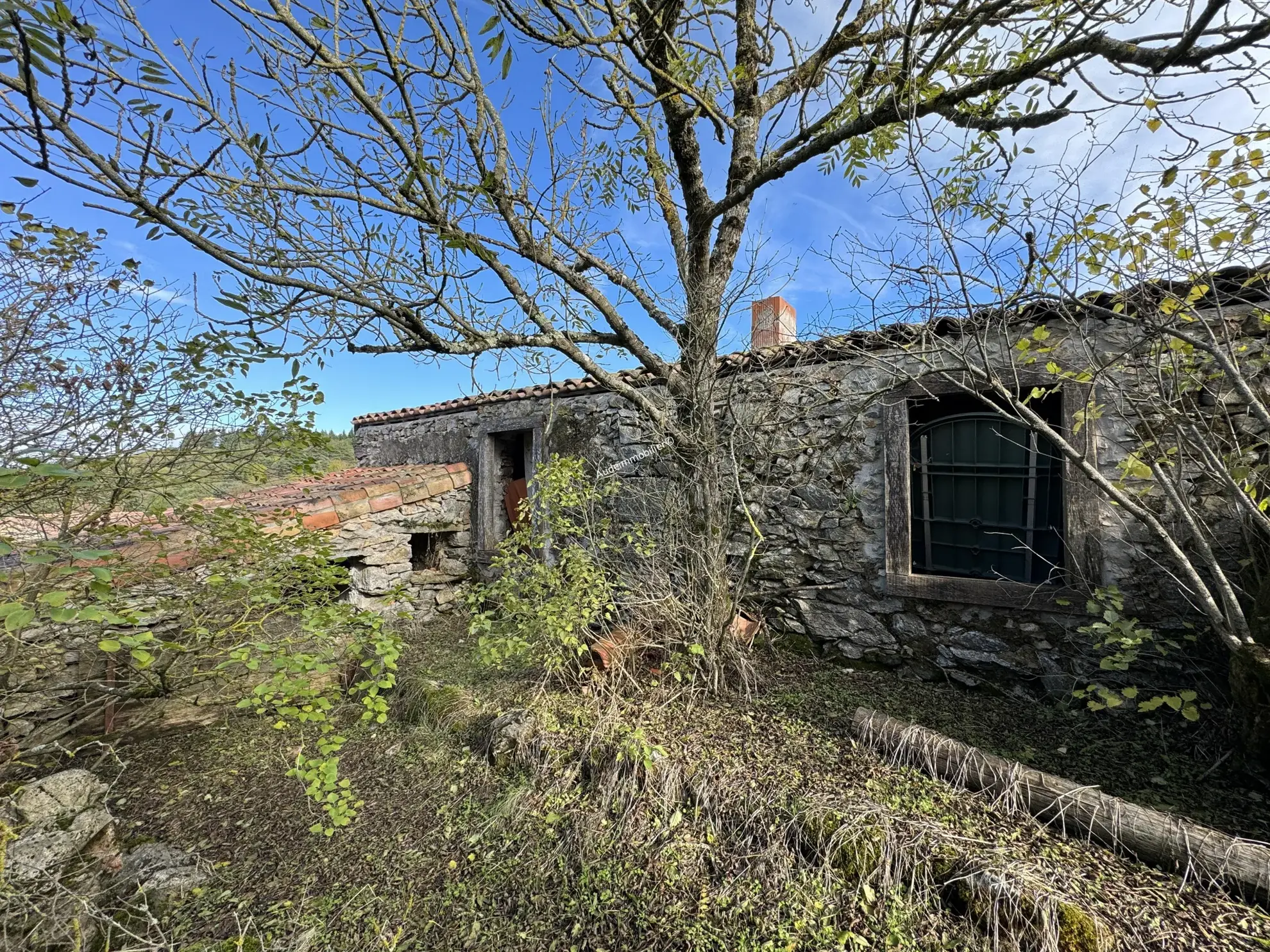 Vente d'une ancienne bergerie avec jardin à Villardebelle 