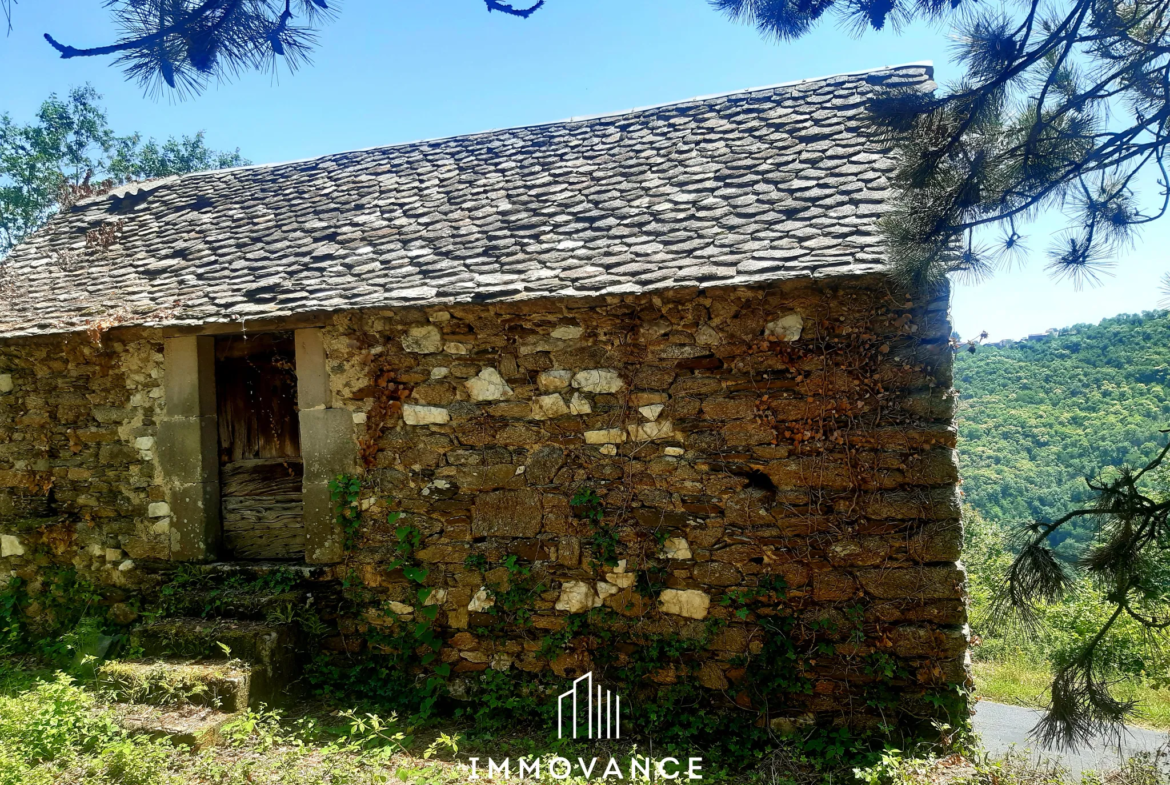 Maison de vigne avec terrain à restaurer à Le Truel 