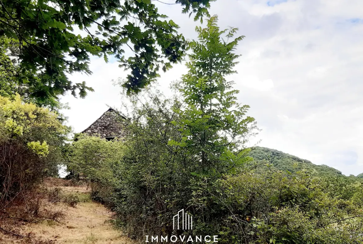 Maison de vigne avec terrain à restaurer à Le Truel 