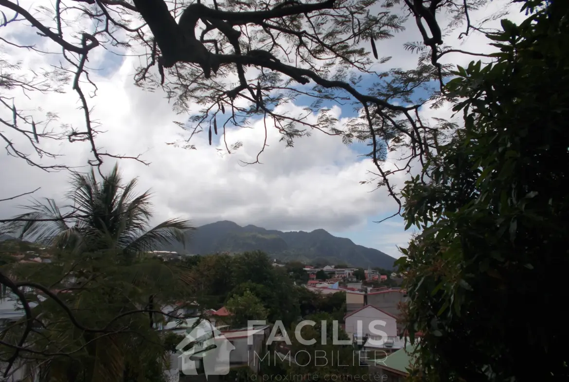 Maison à Prix Négociable à Basse-Terre avec Vue Mer 