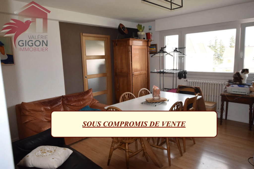 Superbe Appartement F4/5 lumineux à Montbéliard - Loggia incluse