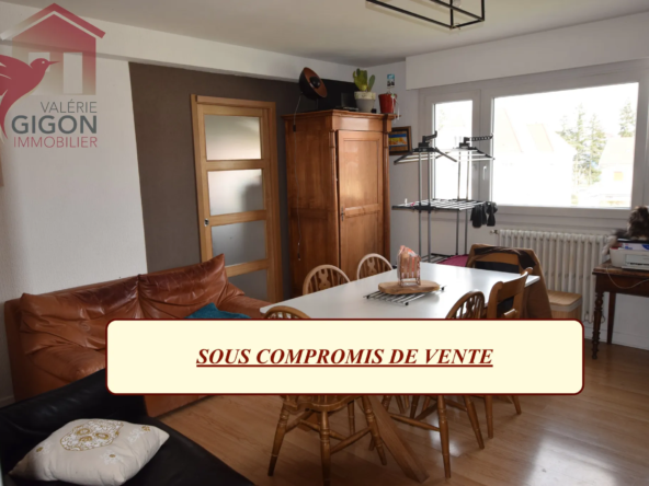 Superbe Appartement F4/5 lumineux à Montbéliard - Loggia incluse