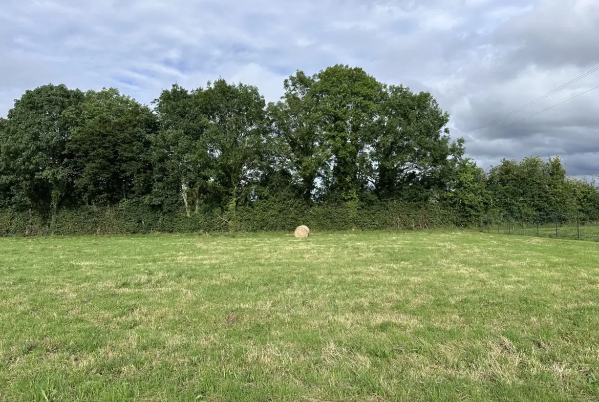 Terrain à bâtir de 865 m² à Le Tourneur 