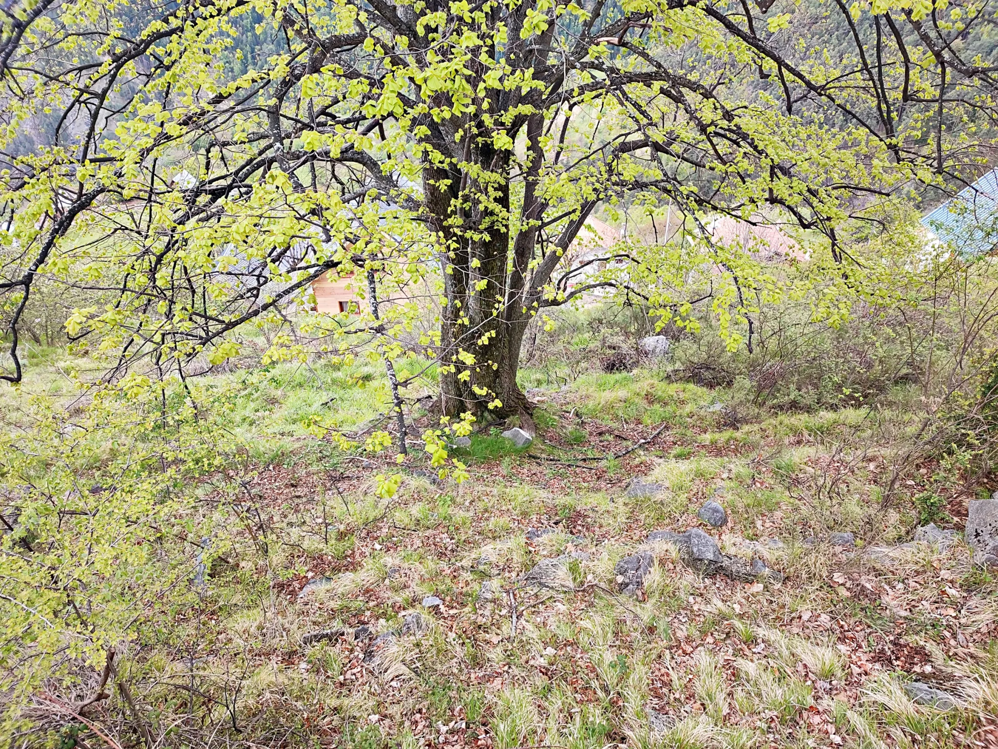 Terrain Constructible de 1397 m2 à Venanson avec Vue Panoramique 