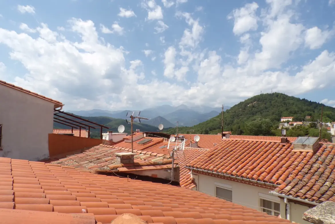 Grande maison de village à Saint Laurent de Cerdans avec vue sur le Canigou 