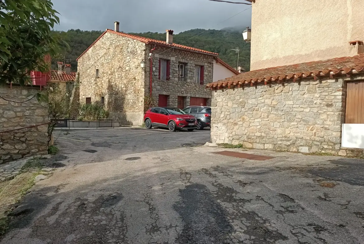 Maison et appartement à vendre à Prats-De-Mollo-La-Preste 