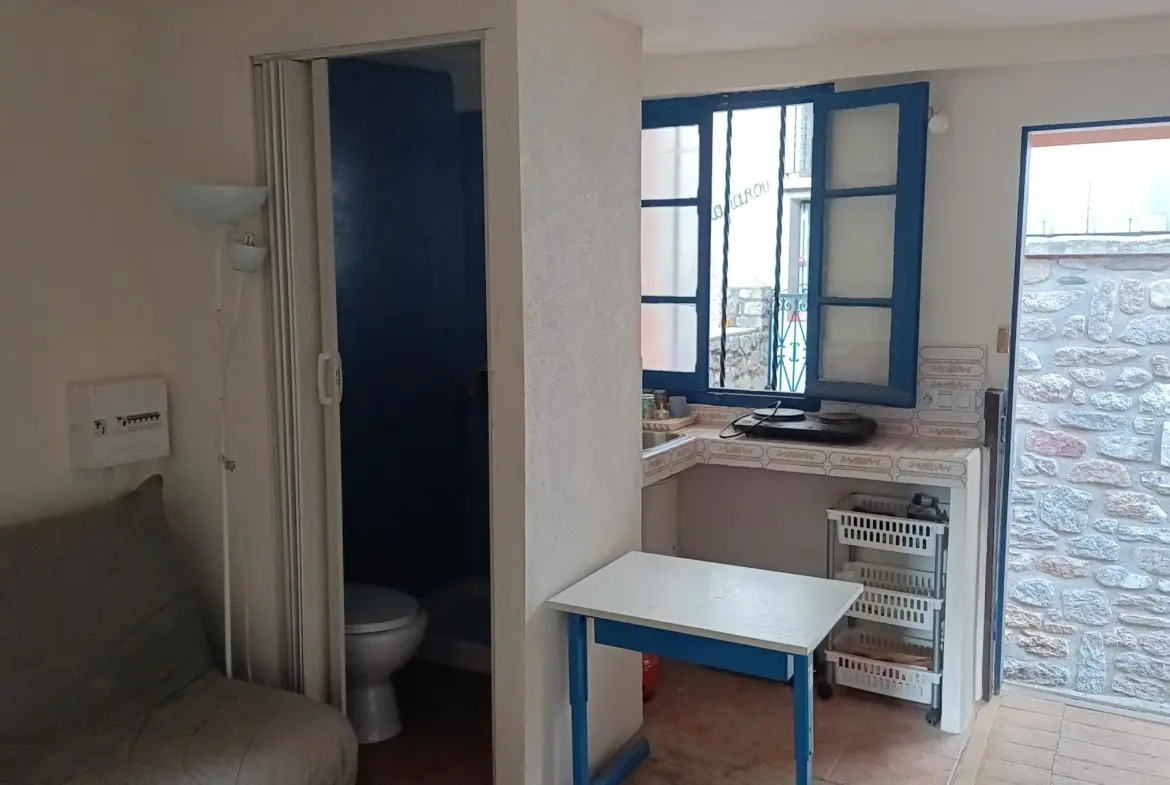 Maison et appartement à vendre à Prats-De-Mollo-La-Preste 