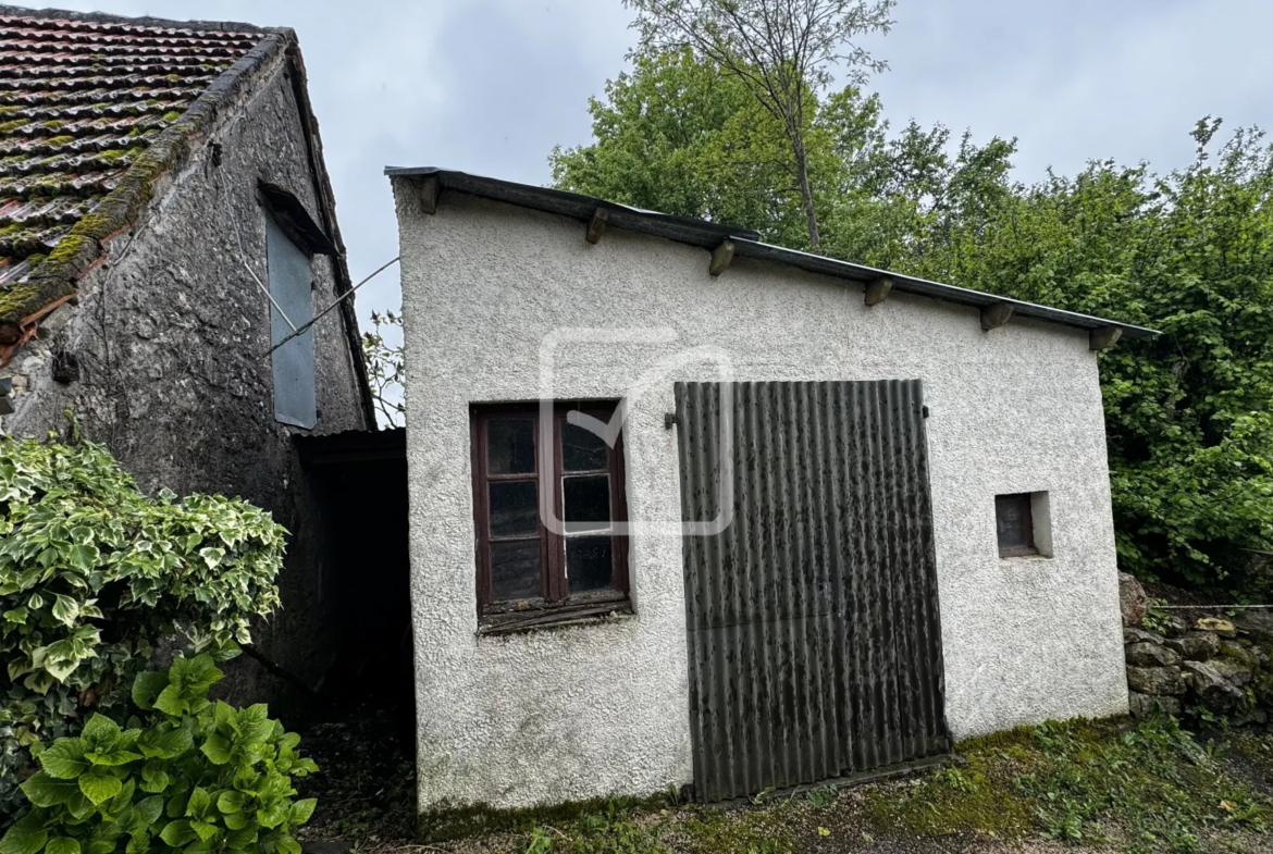 Maison de Bourg en Pierre avec Dépendances à St-Cernin 