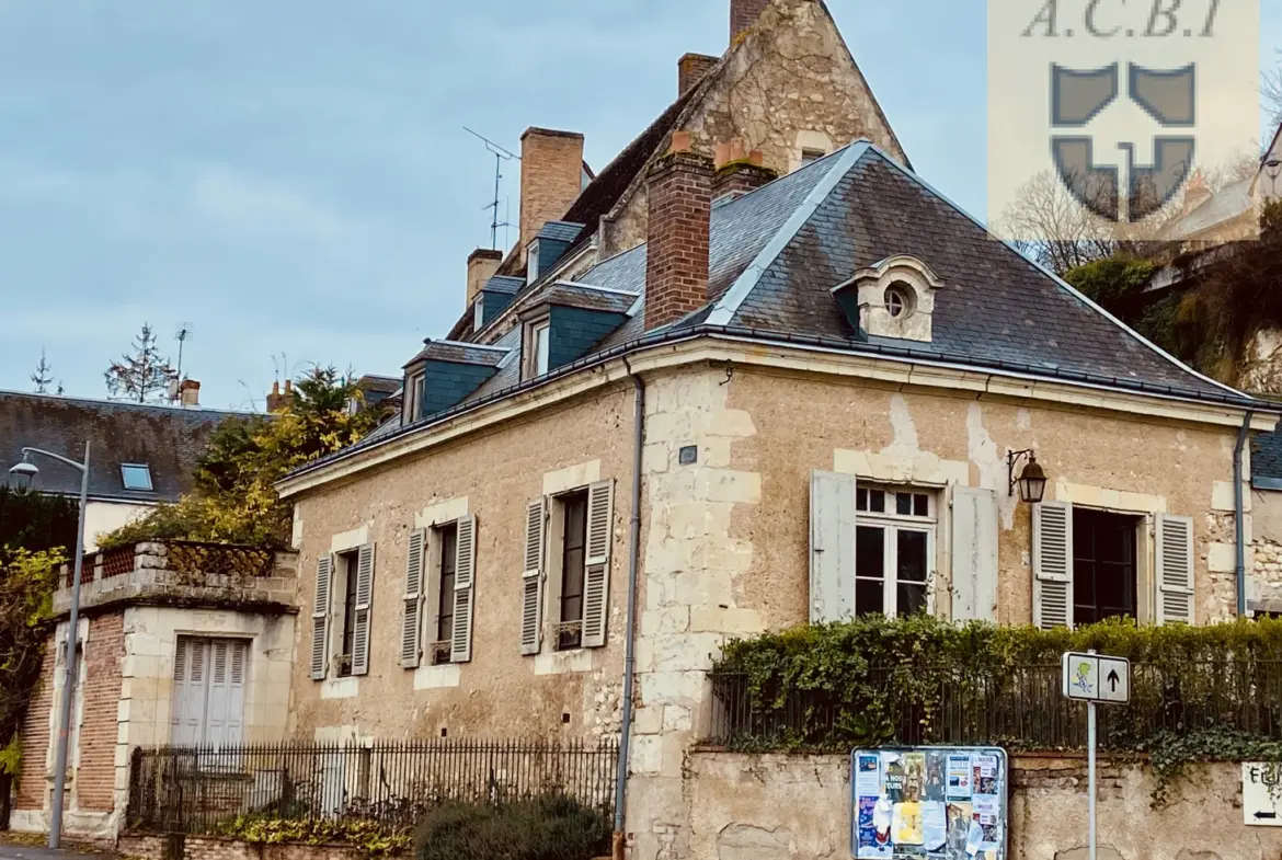 Maison de village à Troo avec jardin et charme ancien 