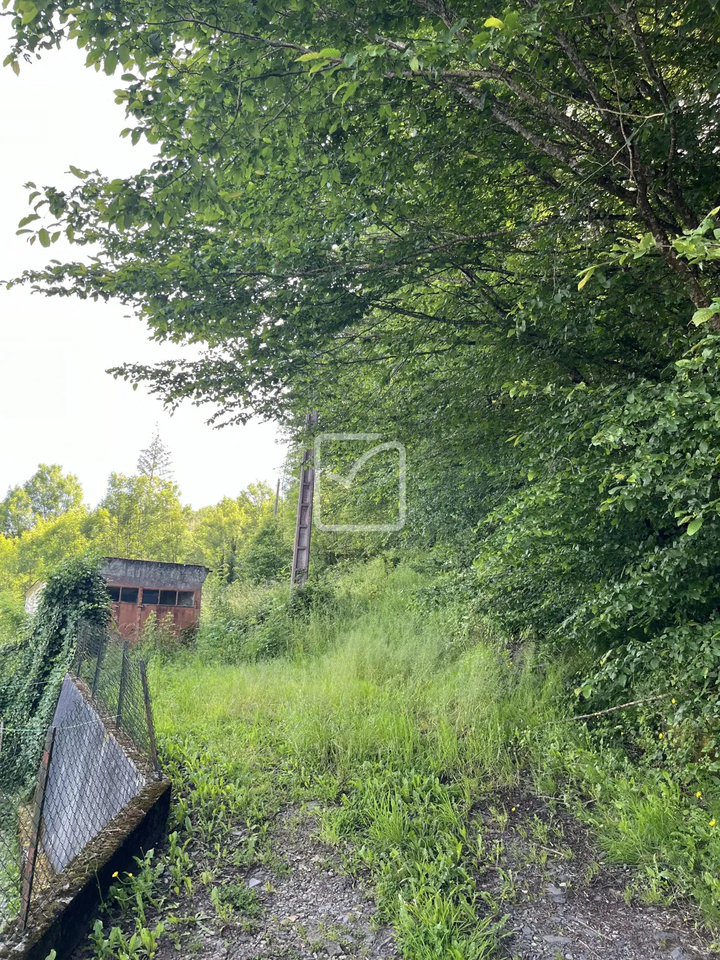 Vente de Bois d'1,3 Hectare à Objat 