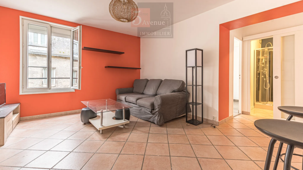 À vendre : Appartement 45 m² avec cour et parking à Vineuil St Firmin