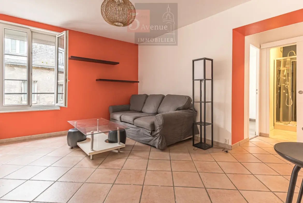 À vendre : Appartement 45 m² avec cour et parking à Vineuil St Firmin 