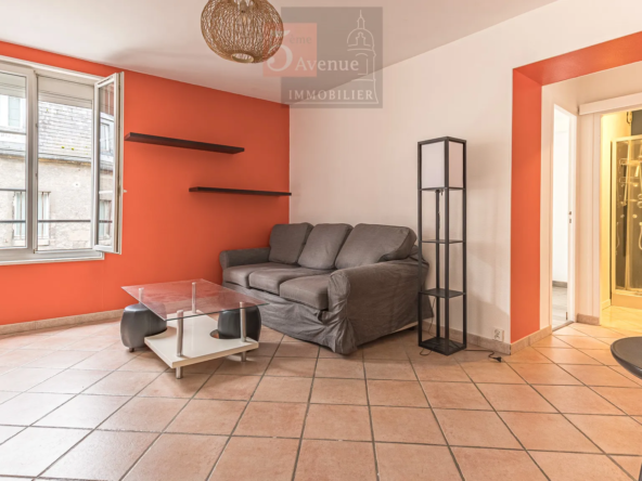 À vendre : Appartement 45 m² avec cour et parking à Vineuil St Firmin