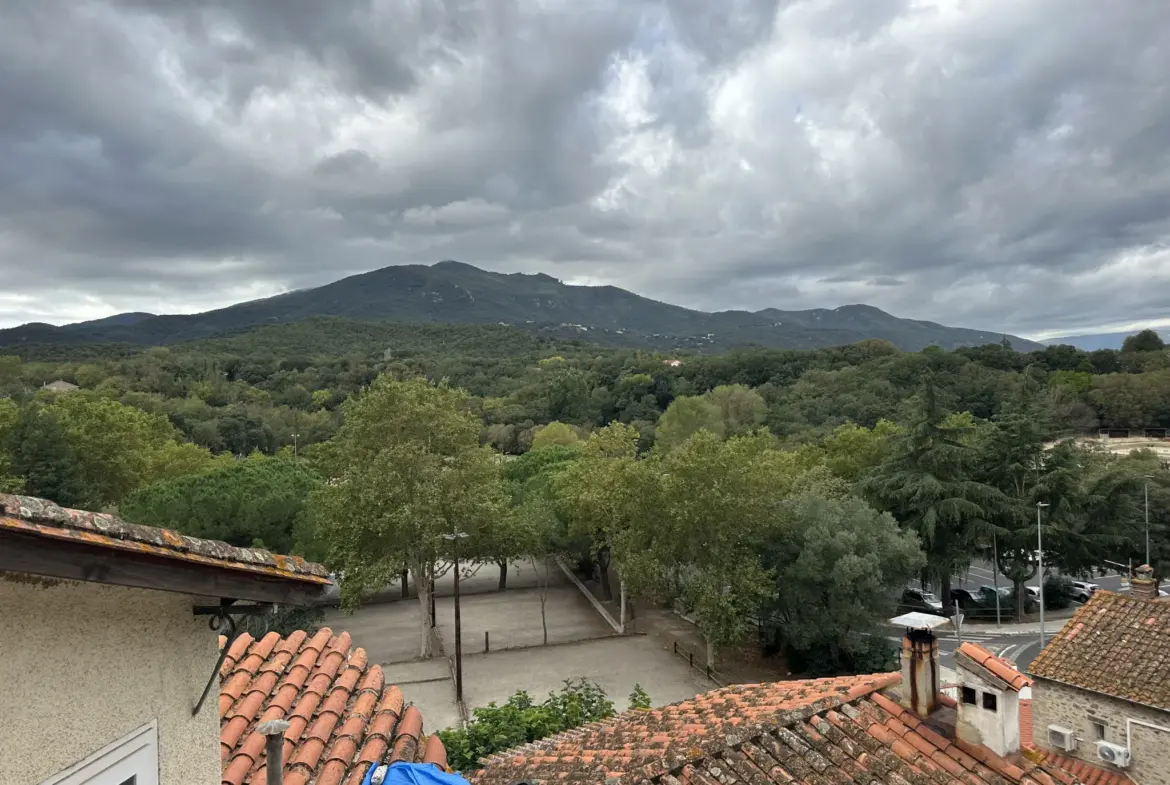 Vente Maison de Village au Centre de Maureillas 