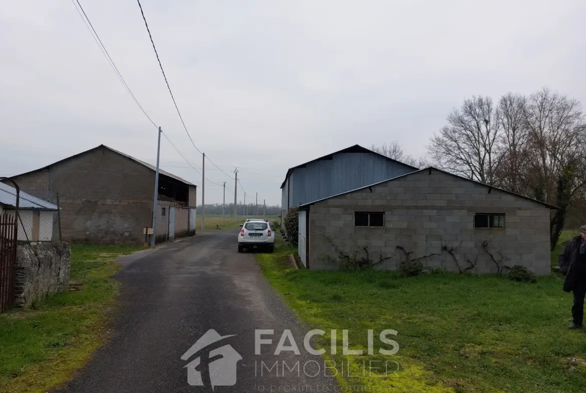 Maison sur les bords de Loire à St Georges sur Loire 