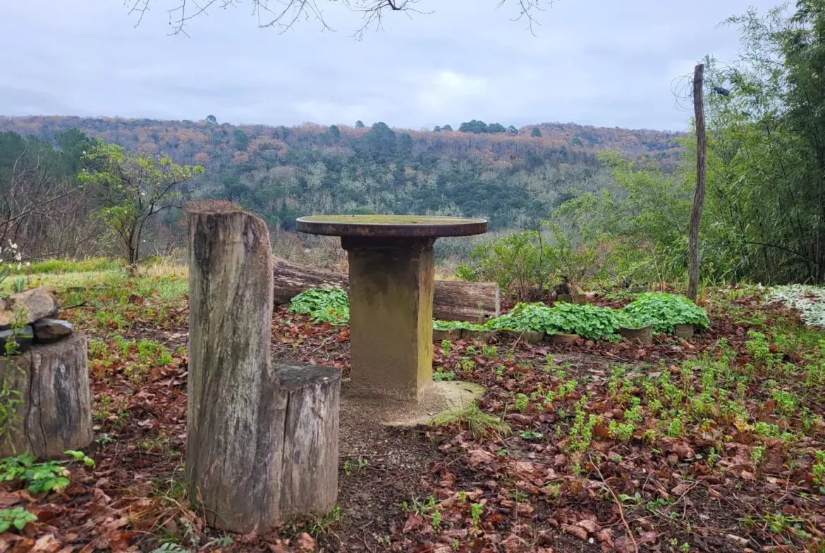 Vente magnifique magnanerie 8 pièces à Cros, Cévennes 