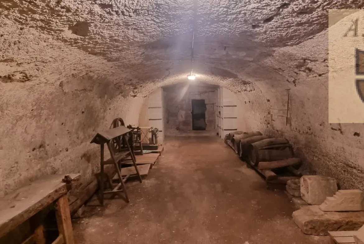 Maison de caractère à Vendôme, 5 chambres avec jardin 