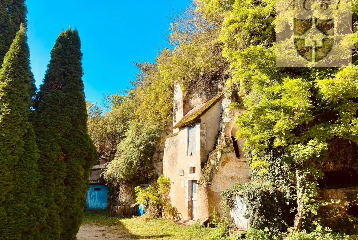 Maison de caractère à Vendôme, 5 chambres avec jardin 