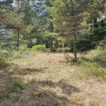 Terrain constructible de plus d'1 hectare à vendre à Caille