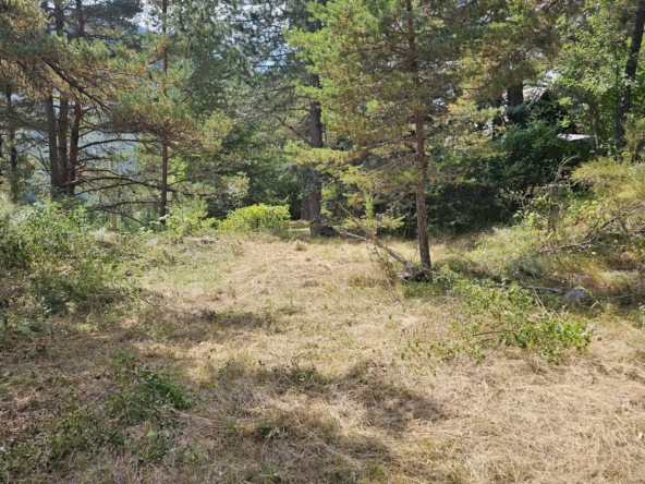 Terrain constructible de plus d'1 hectare à vendre à Caille