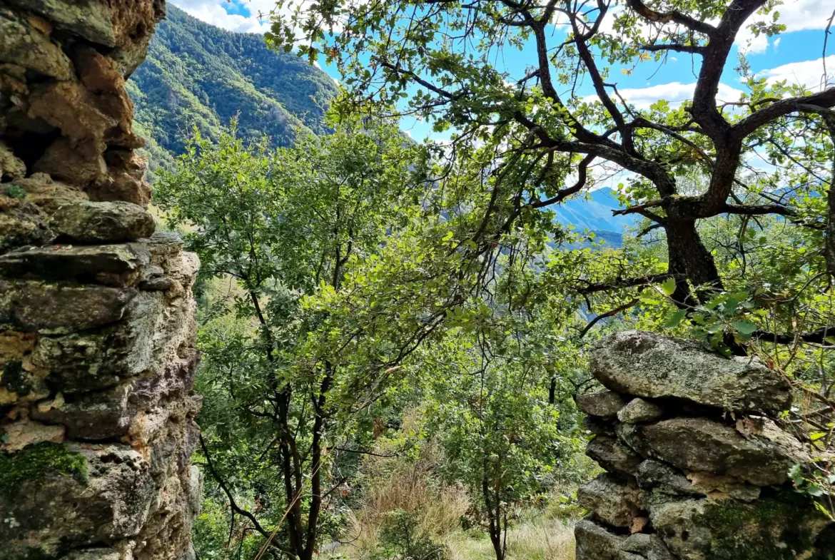 Terrain de Loisir aux Adrets avec Cabanons et Vue Panoramique 