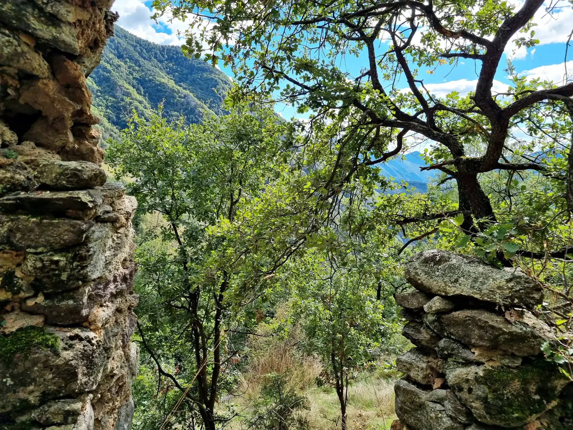 Terrain de Loisir aux Adrets avec Cabanons et Vue Panoramique 