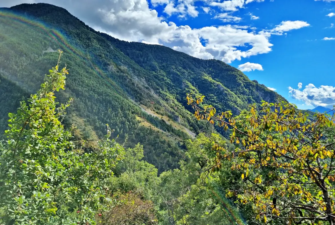 Terrain de Loisir aux Adrets avec Cabanons et Vue Panoramique 