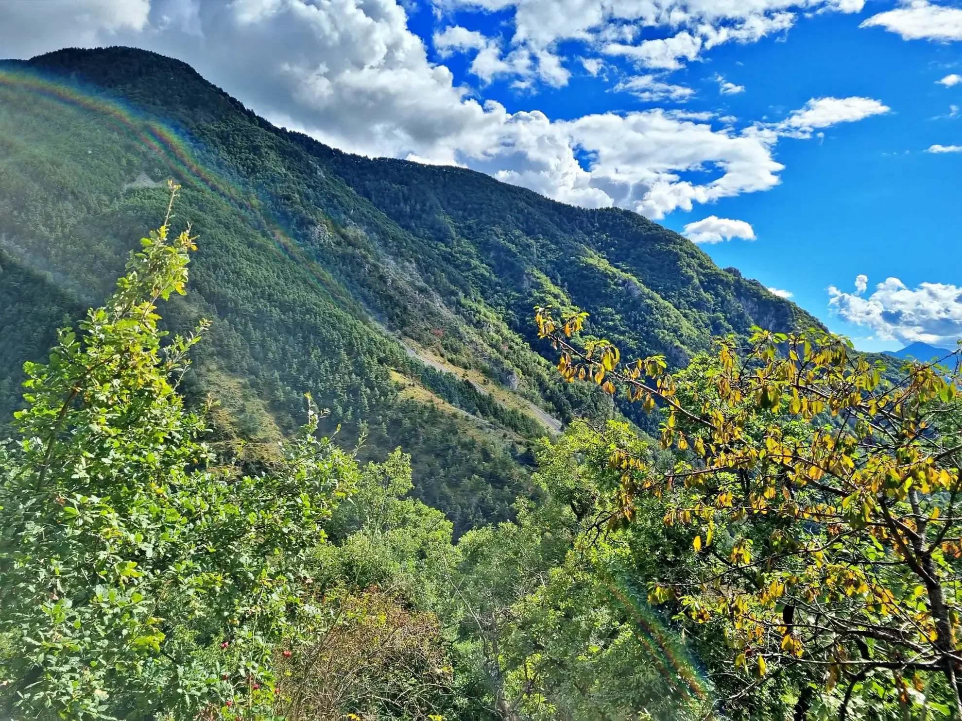 Terrain de Loisir aux Adrets avec Cabanons et Vue Panoramique 