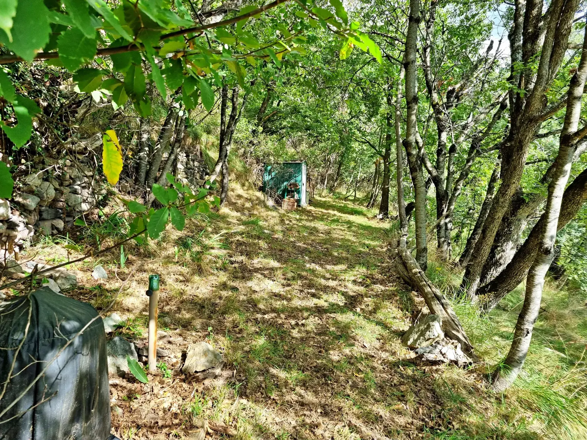 Terrain de Loisir aux Adrets avec Cabanons et Vue Panoramique 