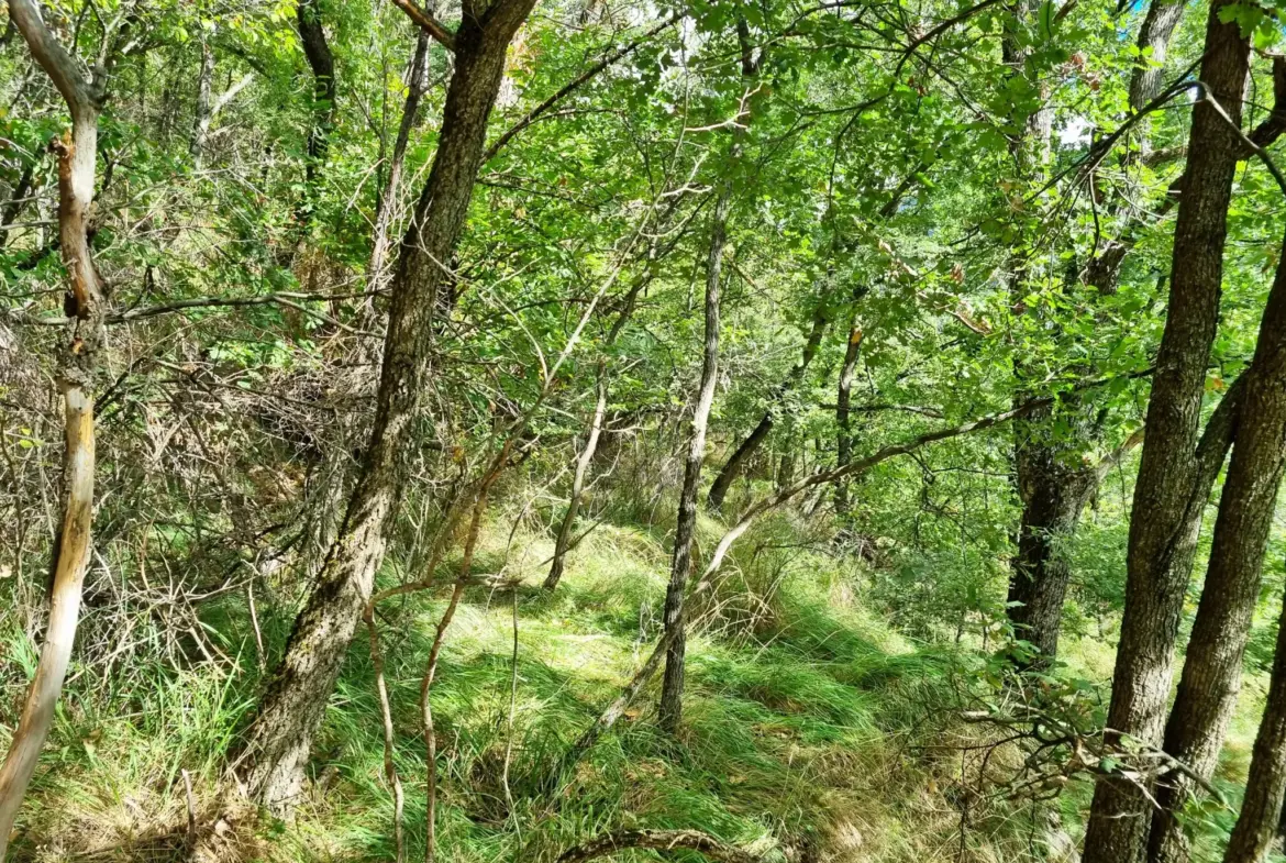 Terrain de Loisir aux Adrets avec Cabanons et Vue Panoramique 