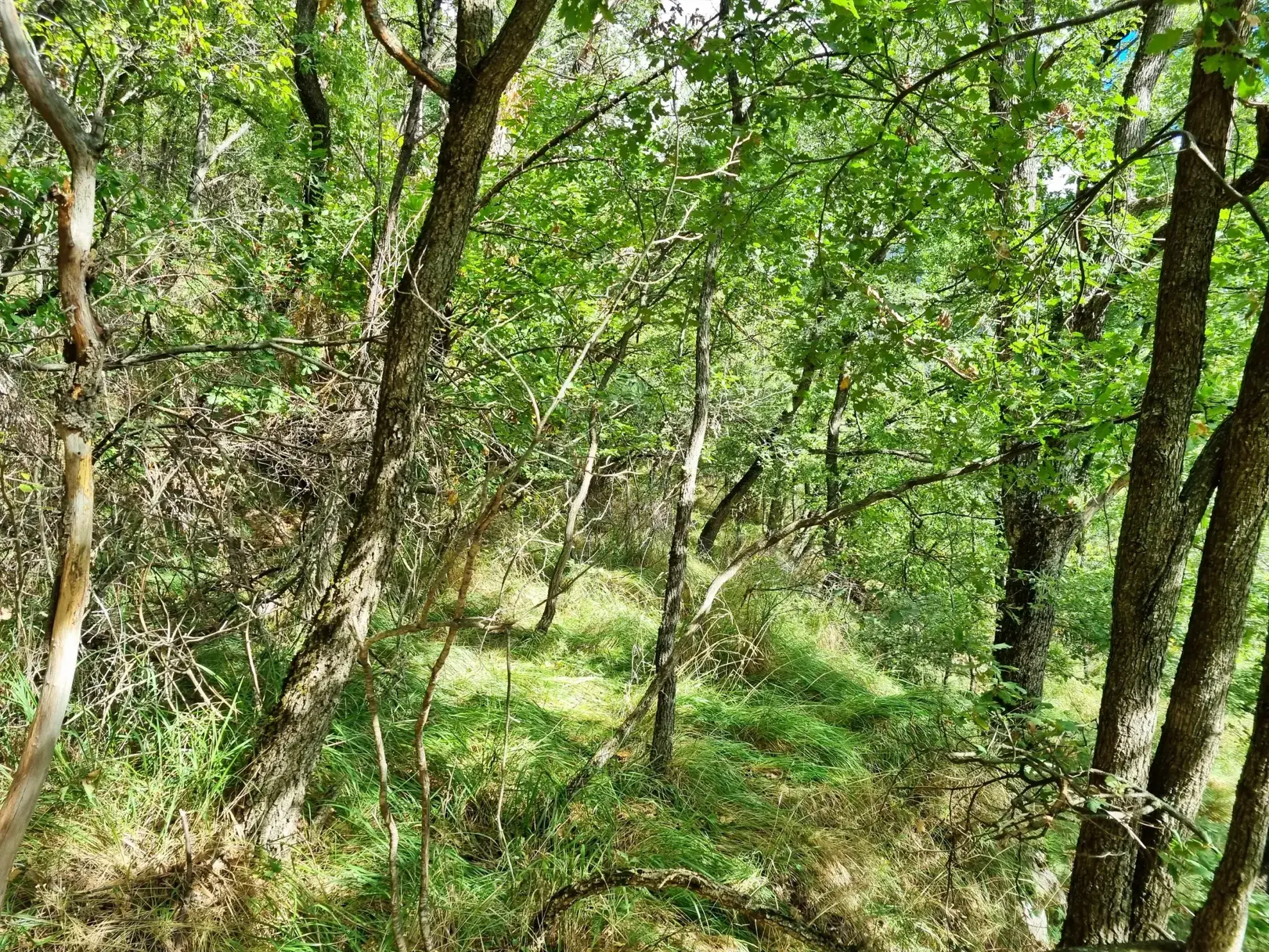 Terrain de Loisir aux Adrets avec Cabanons et Vue Panoramique 