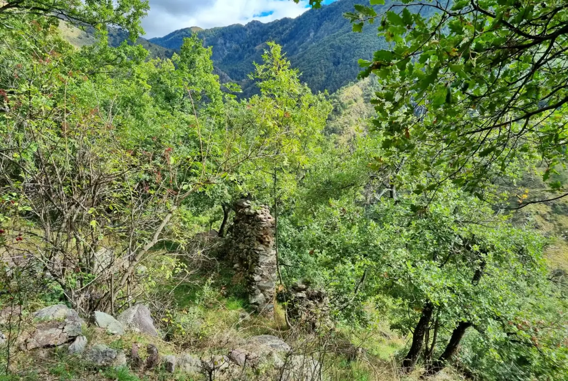 Terrain de Loisir aux Adrets avec Cabanons et Vue Panoramique 