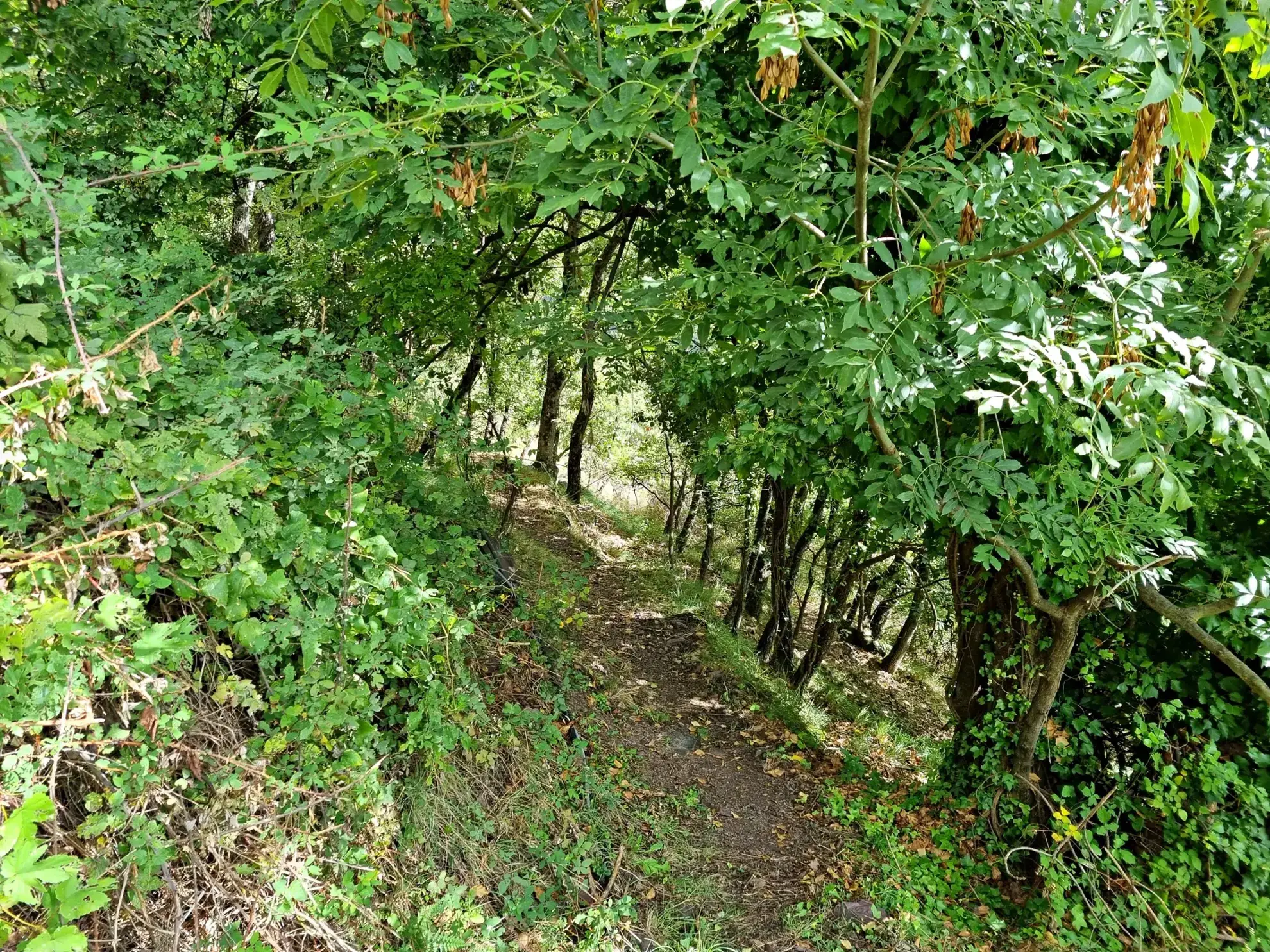 Terrain de Loisir aux Adrets avec Cabanons et Vue Panoramique 