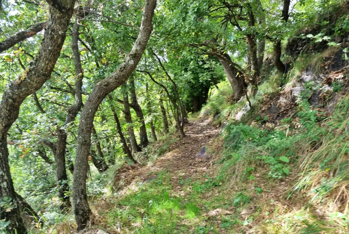 Terrain de Loisir aux Adrets avec Cabanons et Vue Panoramique 