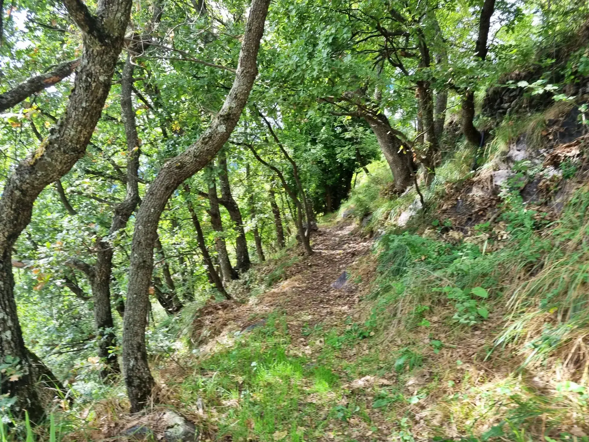 Terrain de Loisir aux Adrets avec Cabanons et Vue Panoramique 