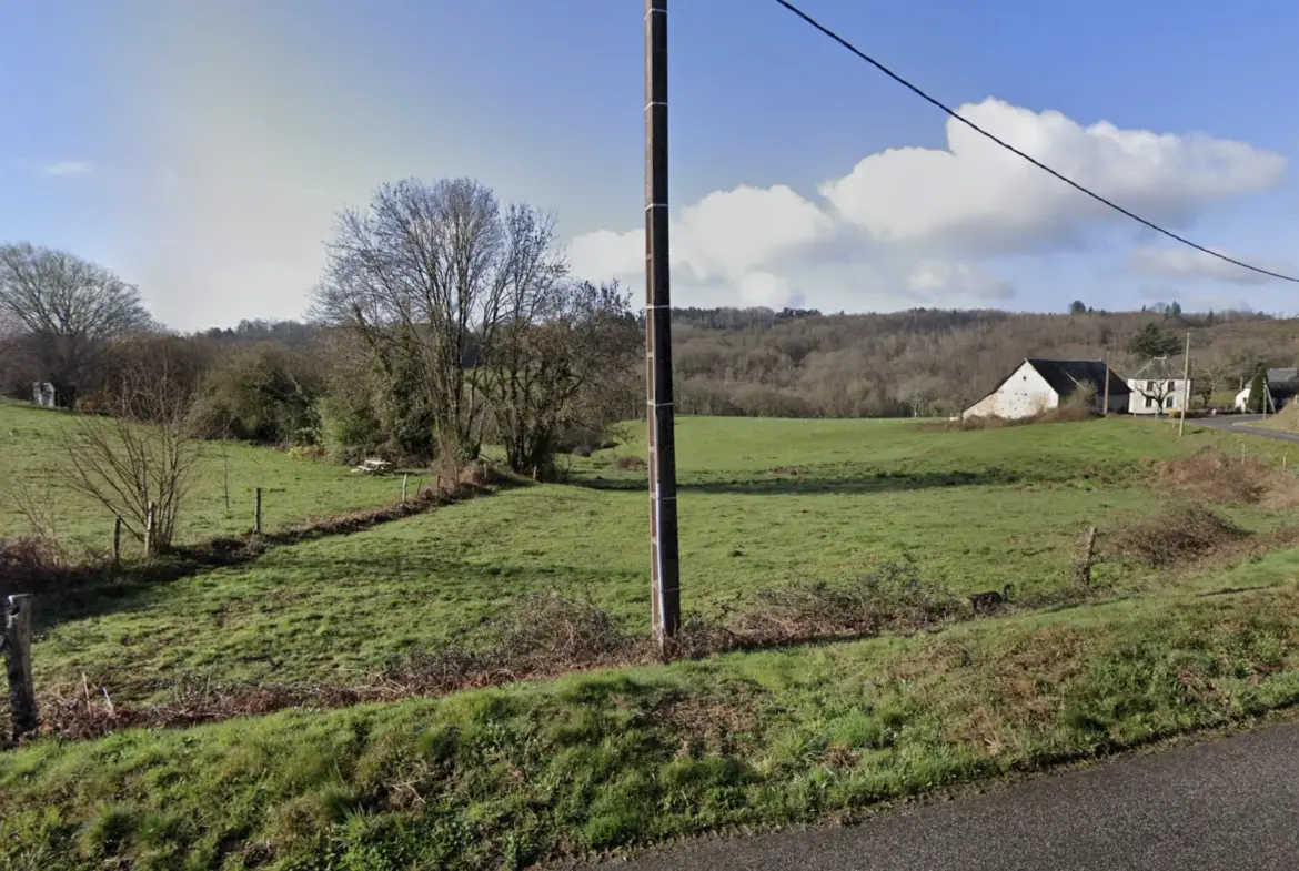 Terrain constructible de 2366 m² à vendre à Neuville 