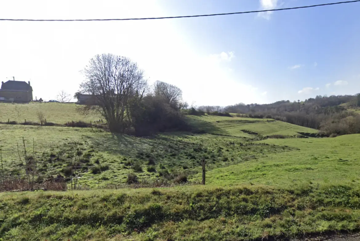 Terrain constructible de 2366 m² à vendre à Neuville 