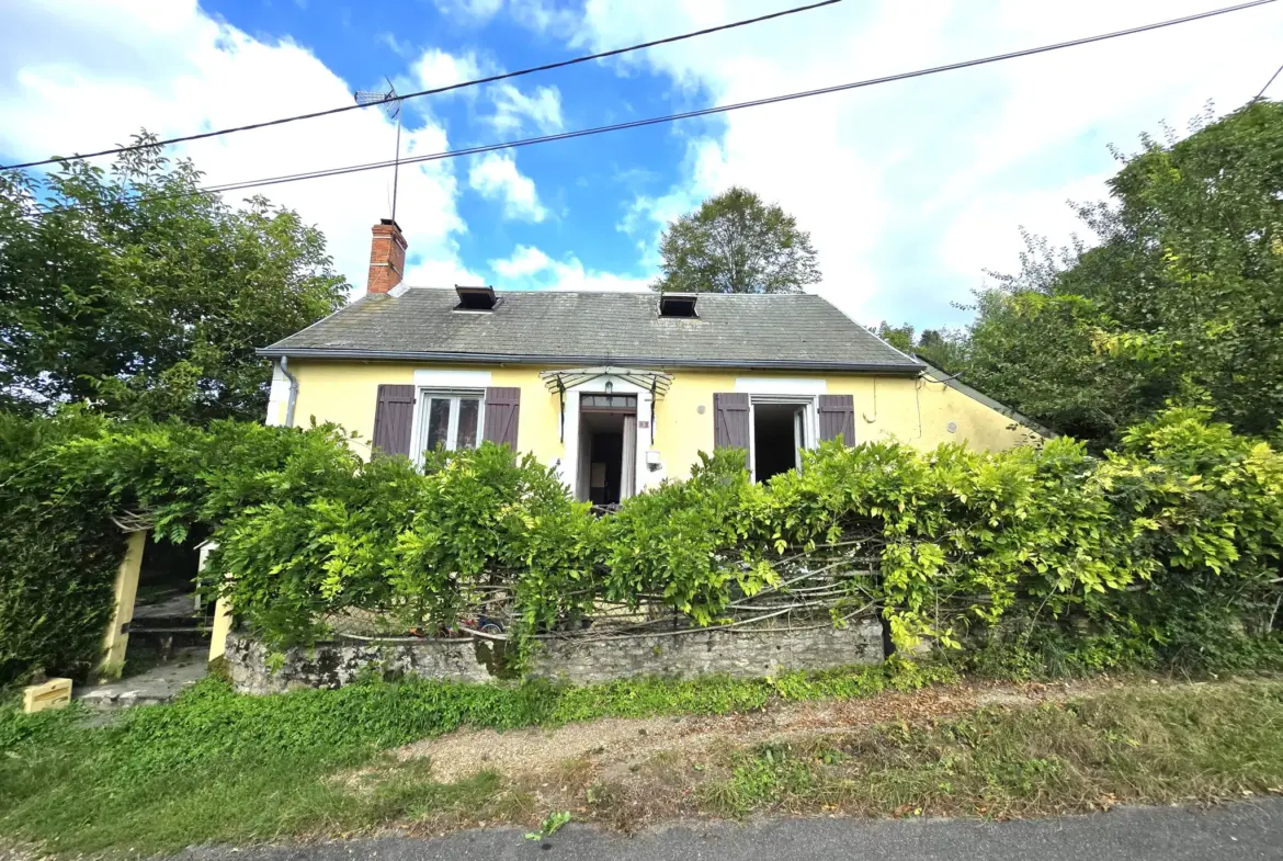 Agréable maison lumineuse à vendre à La Celle-sur-Nièvre 