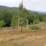 Terrain à bâtir de 1818 m² avec vue dégagée à Mercuer