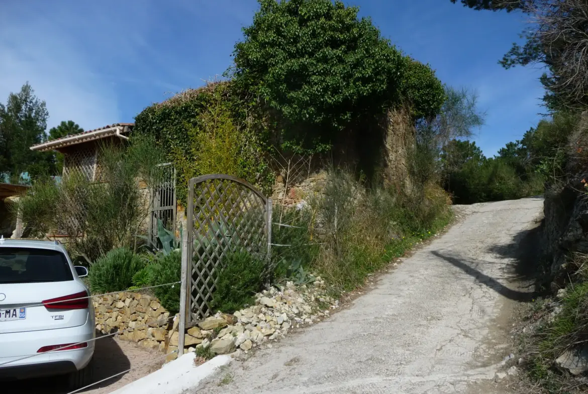 Vente terrain agricole de 4770 m² à Castellar, chemin St Bernard 