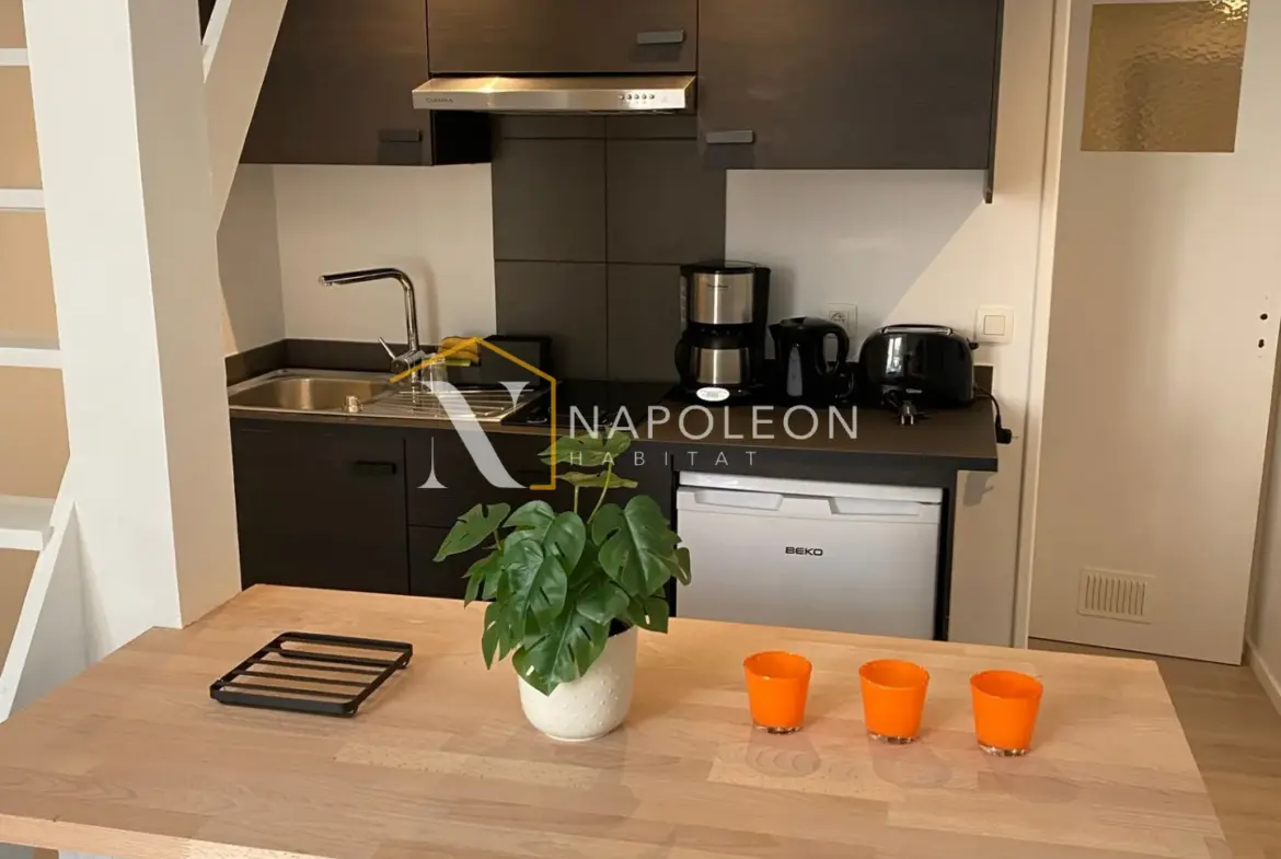 Appartement T2 lumineux à Lille près du métro 