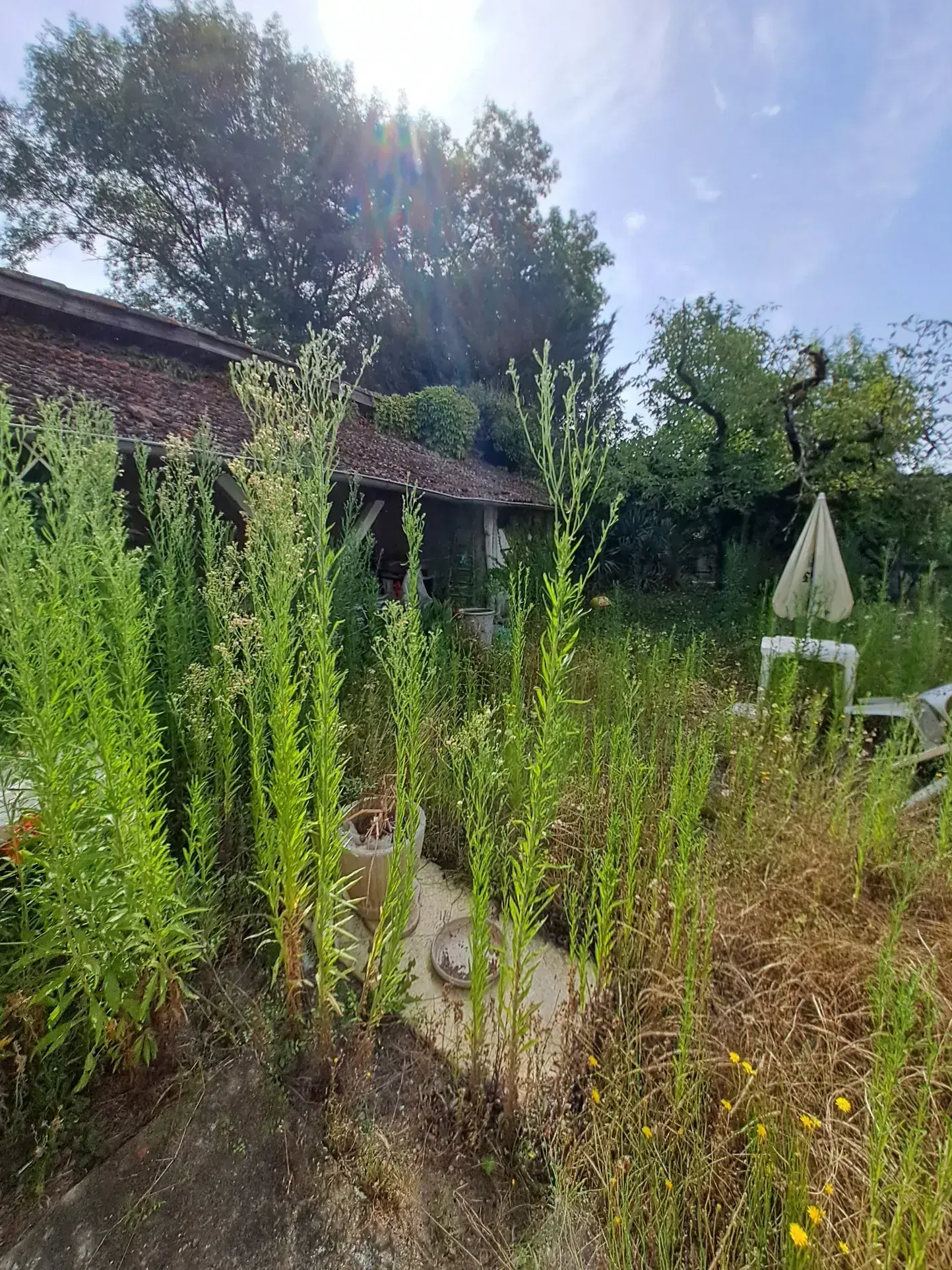 Maison de village à rénover dans le Gers 