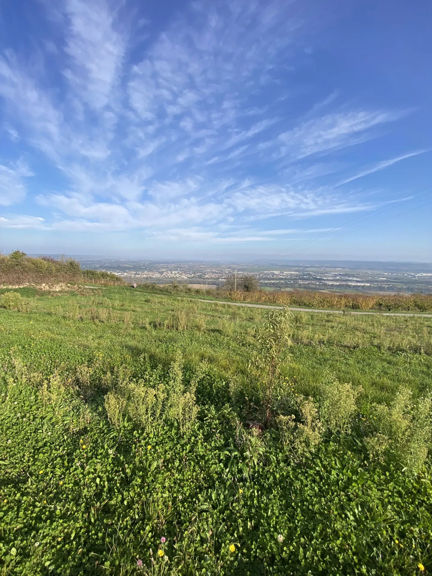 Terrain constructible de 1190 m² à Bogy, vue dégagée 