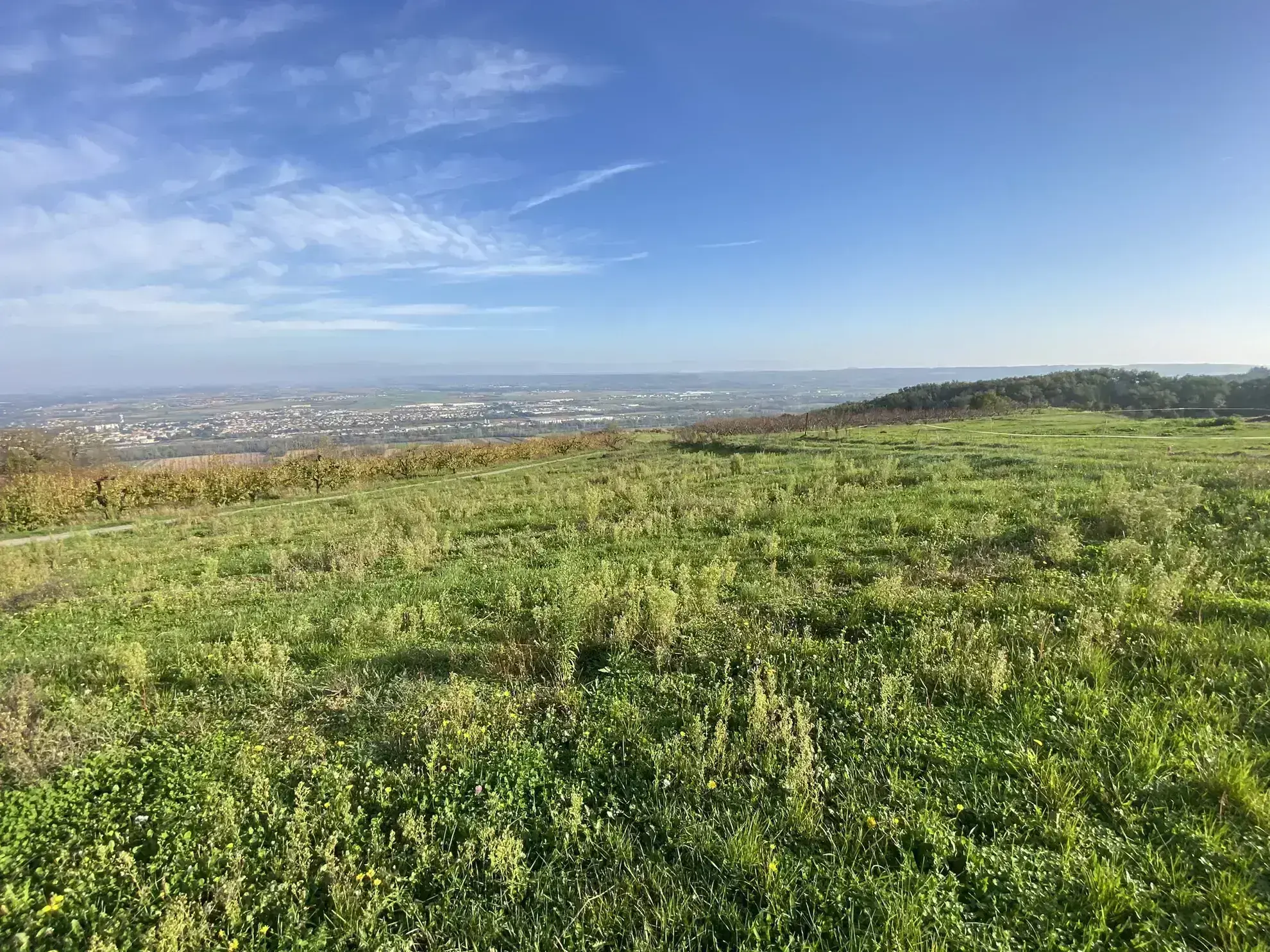 Terrain constructible de 1190 m² à Bogy, vue dégagée 